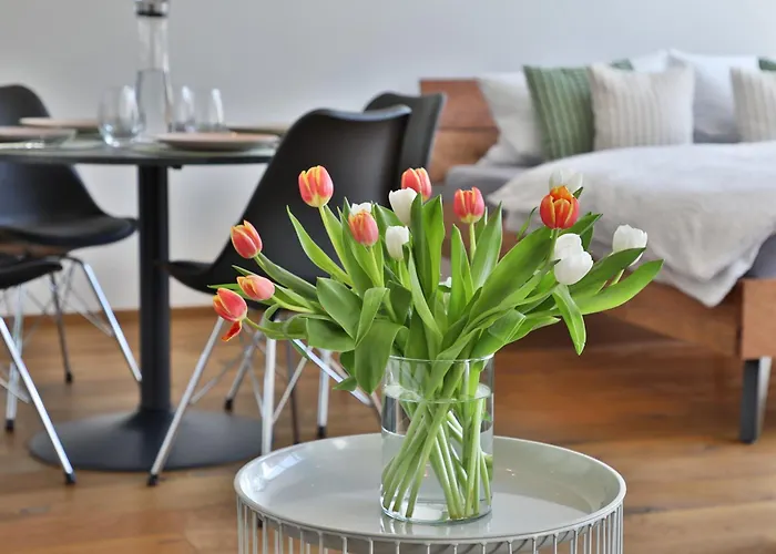 Moderne Studio-wohnung - Lichtblick