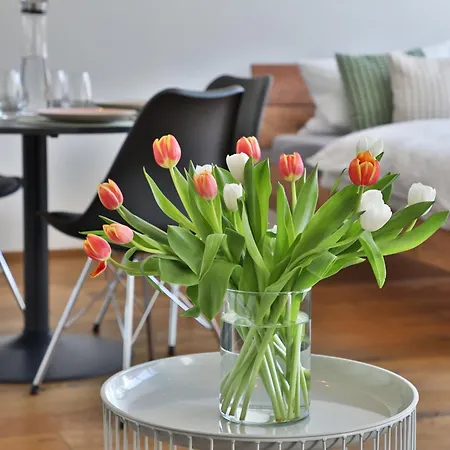 Moderne Studio-wohnung